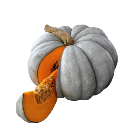 Tatlı Bal Kabağı  KG