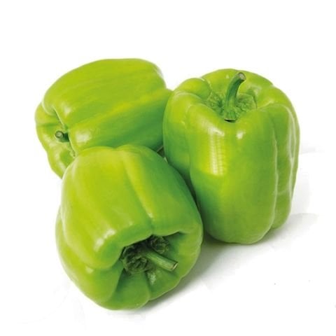 Dolma Biber  KG