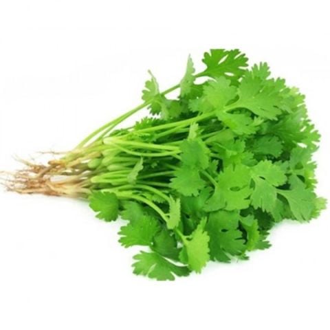 TAZE DONUK İSBİR FASULYE KG