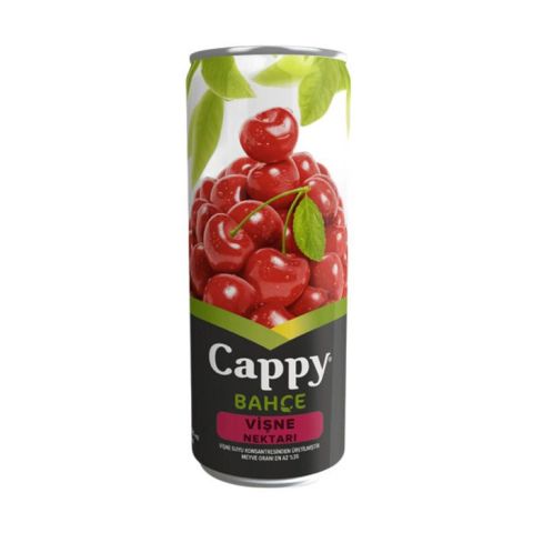 Cappy Kutu 250Ml Vişne