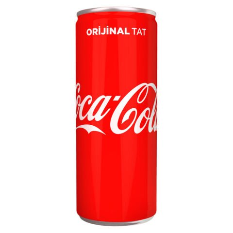 Coca Cola 250Ml Kutu