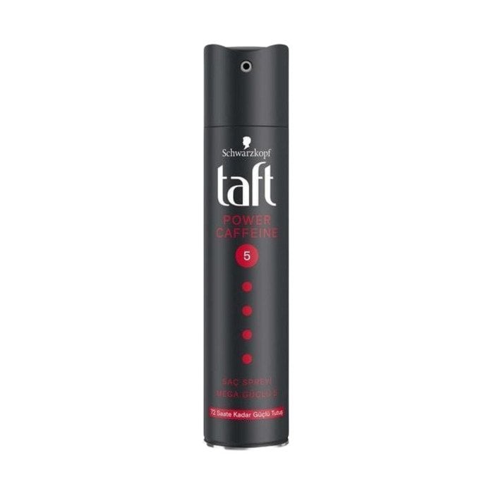 Taft Saç Spreyi 250Ml Power5