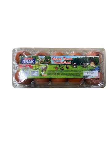 Şeroz Obak Gezen Tavuk Yumurtası 10'Lu Premium