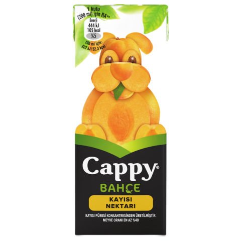 Cappy Mini Meyve Suyu 200Ml Kayısı