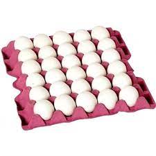 Şeroz Obak Yumurta 30'Lu (L-Boy)