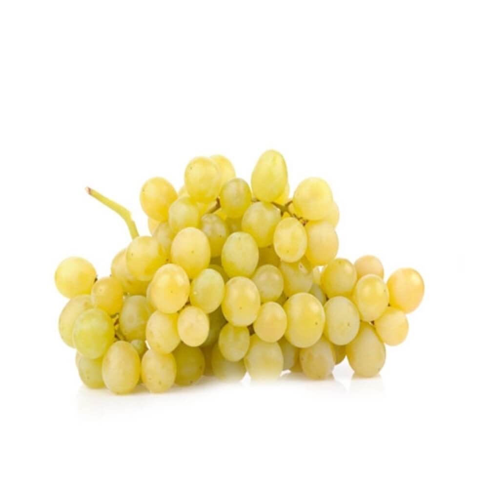 Müşküle Üzüm KG