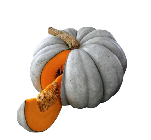 Tatlı Bal Kabağı  KG