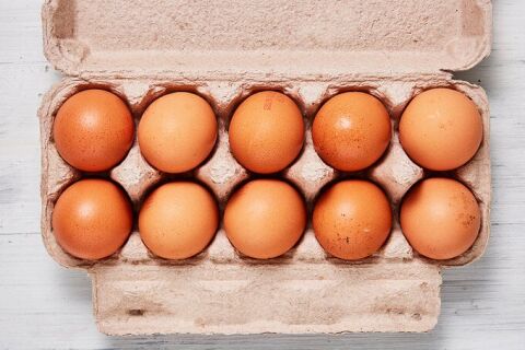 Farmbella Gezen Tavuk Yumurta  10Lu