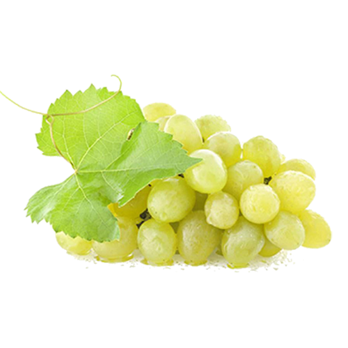 Çekirdeksiz Üzüm  KG
