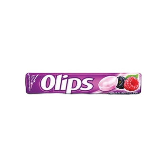 Olips 28Gr Stick Orman Meyveli