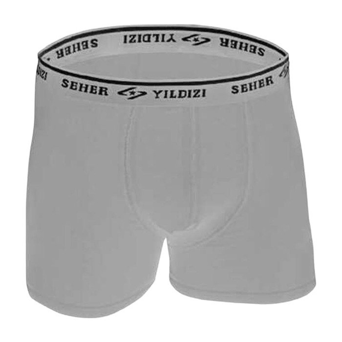 Seher Yıldızı Boxer Gri L